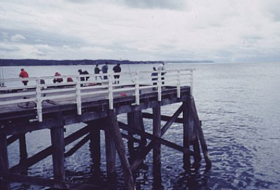 People fish from a pier into the sea, highlighting festival weather considerations.