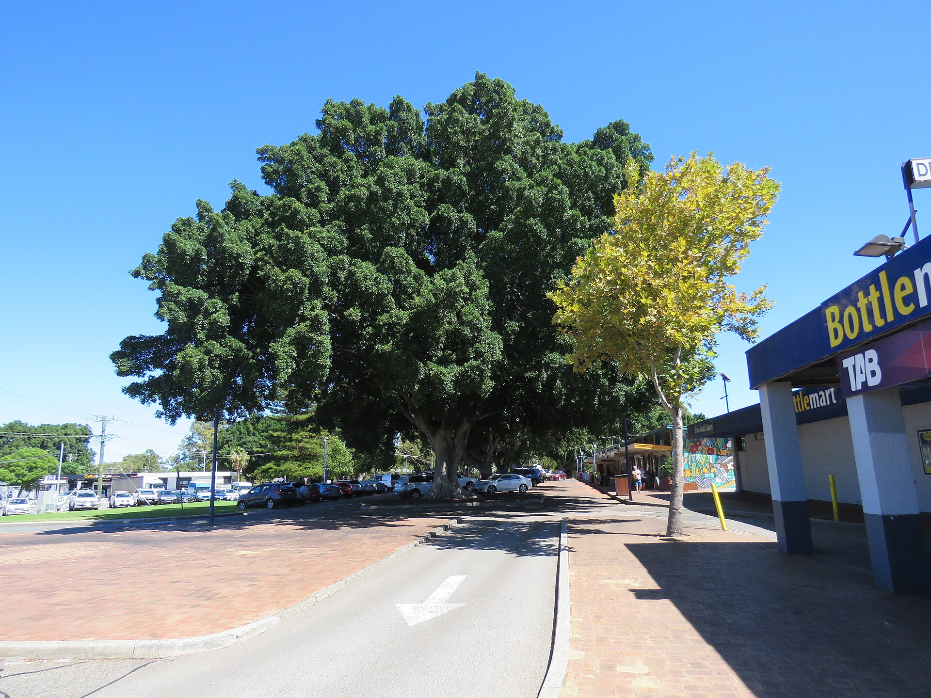 A sunny street scene with buildings and trees suggests a relaxed pace for enjoying a long festival weekend.